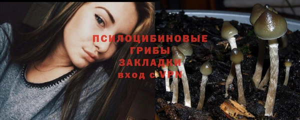экстази Горнозаводск