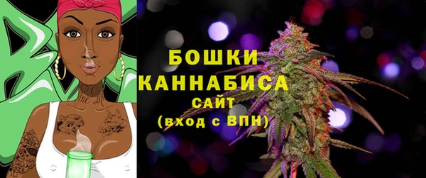 ECSTASY Горняк