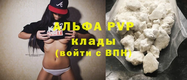 ECSTASY Горняк